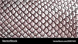 Image result for reptile scales