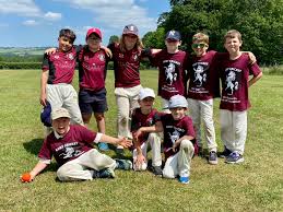 Image result for Newenden Cricket Club
