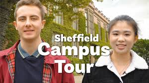 Image result for Sheffield University
