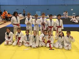 Image result for Elmbridge Netball Club