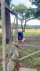 Image result for Newdigate Clays