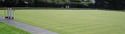 Image result for Brewood Cricket Club