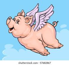 Image result for flying pigs