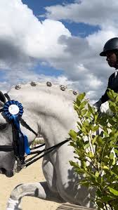 Image result for Interfreestyle Sport Karate