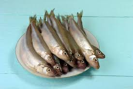 Image result for Osmerus eperlanus