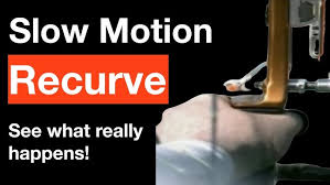 Image result for Reigate Priory Bowmen