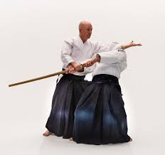 Image result for Moslin & Dewandre Aiki Dojo