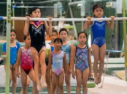 Image result for Tessaro Gymnastics Club