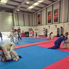 Image result for Universal Judo Academies