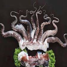 Image result for Dosidicus gigas