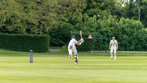 Image result for Potten End Cricket Club