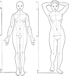 File:Normale feminine d'apresRicherJavanaise de dix-huit ans ...