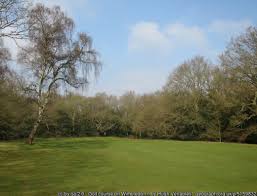 Image result for Wimbledon Common Golf Club