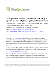 Attēlu rezultāti vaicājumam “Dictenidia bimaculata male”