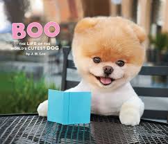 Image result for boo
