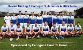 Image result for Green Isle Camogie Club - Players Wanted!