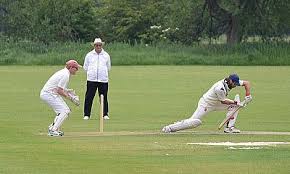 Image result for Oxford Downs Cricket Club