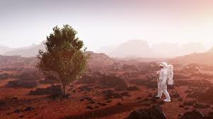 Image result for mars trees