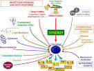 ScienceDirect.com - FEBS Letters - Stress molecules in sepsis and ...