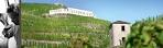 Hermitage Saint Joseph Crozes Hermitage Cote Rotie Condrieu Vallee ...
