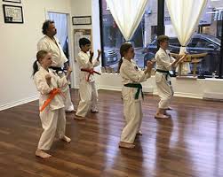 Image result for Ji Shin Do Karate