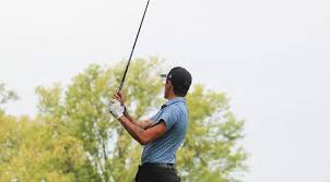 Image result for York University Golf Club