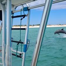 Image result for Belfairs Dolphins Snorkelling Club
