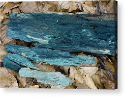 Attēlu rezultāti vaicājumam “Chlorociboria aeruginascens”