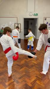 Image result for Dumfries Wado Ryu  Karate club