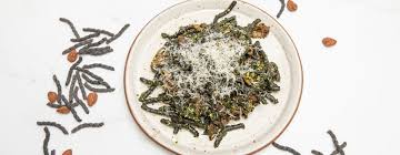 Image result for seppi tehron