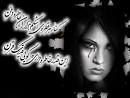 در غریبی ناله کردم ،هیچ کس