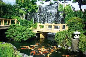 小羽　貝谷에 대한 이미지 검색결과