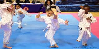 Image result for London Colney Tae Kwon Do  (I.T.F. / LTSI / A.F.T.)