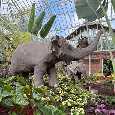 「トランクス(エイジ779)」の画像検索結果