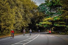 Image result for Prospect Park Beginner Jogging Sessions