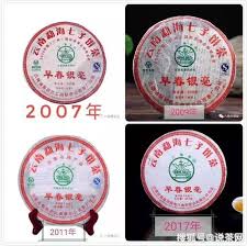 Image result for 2007早春