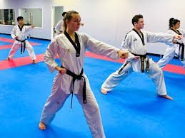 Image result for Invertay Taekwondo Club