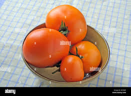 Afbeeldingsresultaat voor caro rich tomato