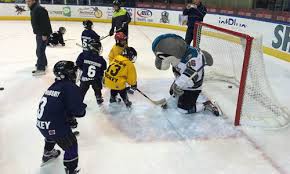 Image result for Shrewsbury Hockey Club