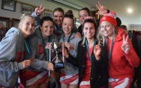 Image result for Bridgewater Netball Club