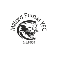 Image result for Milford Pumas Football Club
