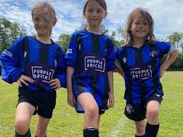 Image result for Milford Pumas Football Club