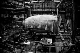 Image result for owl ship