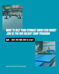 Image result for Elite Trampoline Club