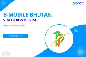 Image result for b-mobile sim