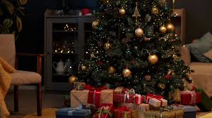 Image result for SIMBOLO DE NATAL