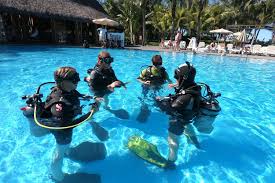 Image result for Seabug Divers
