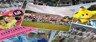 Image result for Hatherleigh Cricket Club