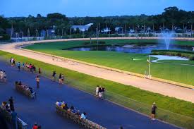 Image result for Reading Greyhound Track