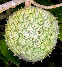 Attēlu rezultāti vaicājumam “Jasione montana fruit”